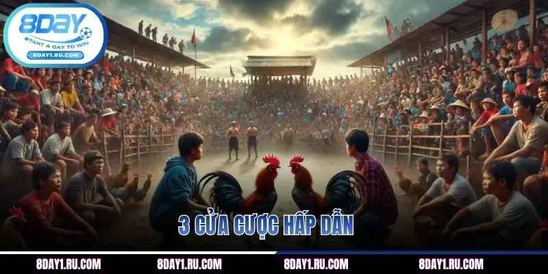 3 cửa cược hấp dẫn