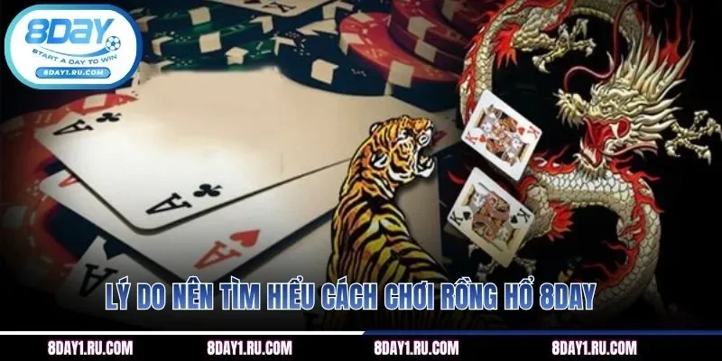 Lý do nên tìm hiểu cách chơi rồng hổ 8DAY