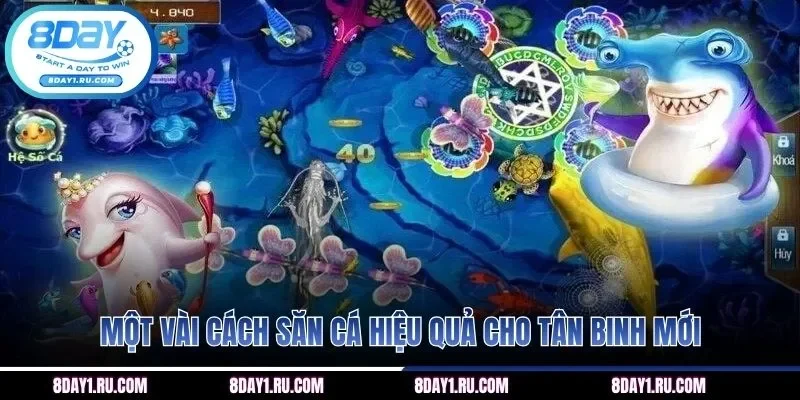 Một vài cách săn cá hiệu quả cho tân binh mới