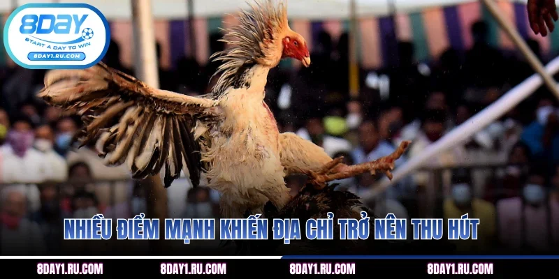 Nhiều điểm mạnh khiến địa chỉ trở nên thu hút
