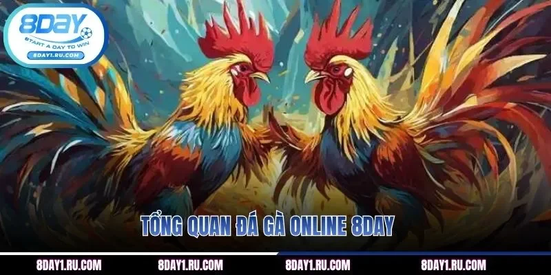 Tổng quan đá gà online